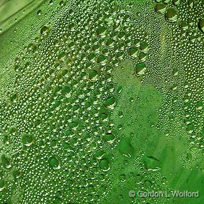 Green Condensation_DSCF01043.jpg - Photographed at Smiths Falls, Ontario, Canada.